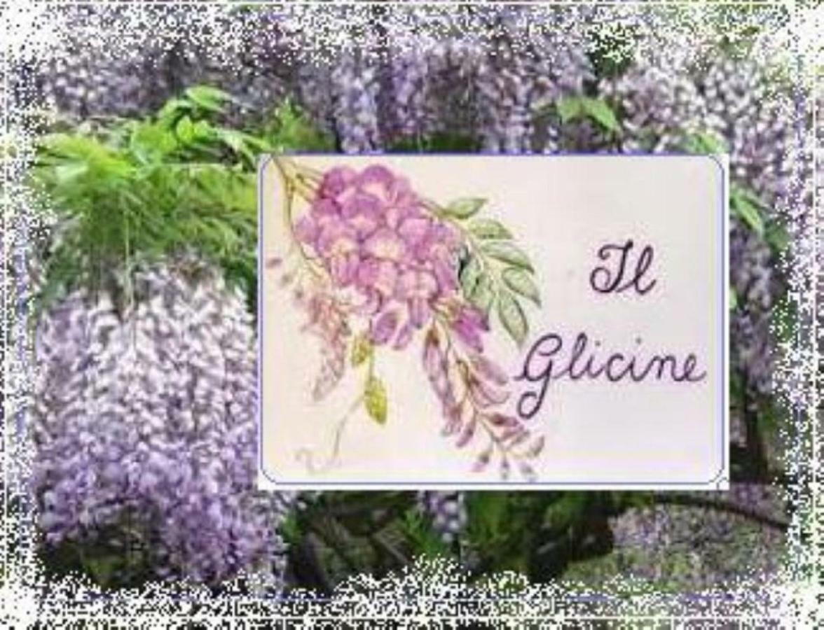 Appartement Il Glicine Di Lucques Extérieur photo